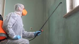 Best Mold Prevention Services  in Lake Park, NC